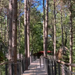 Dow Gardens - Midland