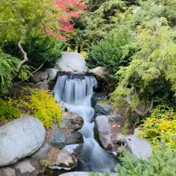 Dow Gardens - Midland