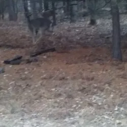 Midland County Historical Society Museum - Midland