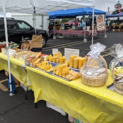 Midland Farmers Market - Midland