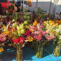 Midland Farmers Market - Midland