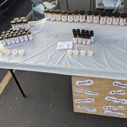 Midland Farmers Market - Midland