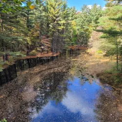 Tittabawassee Riverwalk - Midland