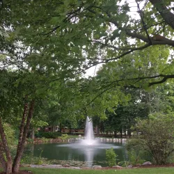 Central Michigan University - Mount Pleasant