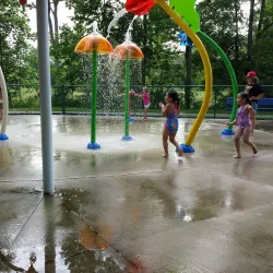 Island Park - Mount Pleasant