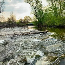 Island Park - Mount Pleasant