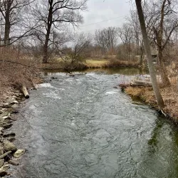 Island Park - Mount Pleasant