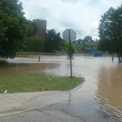 Island Park - Mount Pleasant