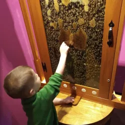 Mount Pleasant Discovery Museum - Mount Pleasant