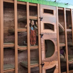 Mount Pleasant Discovery Museum - Mount Pleasant