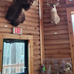 Pine River Trail - Mount Pleasant