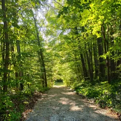 Pine River Trail - Mount Pleasant