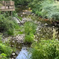 Pine River Trail - Mount Pleasant