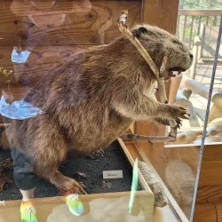 Pine River Trail - Mount Pleasant