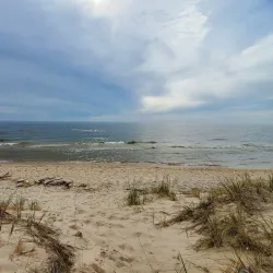 P.J. Hoffmaster State Park - Muskegon