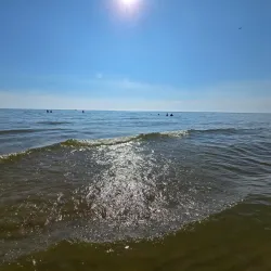 P.J. Hoffmaster State Park - Muskegon