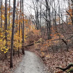 P.J. Hoffmaster State Park - Muskegon