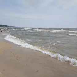 Marquette Park - Niles