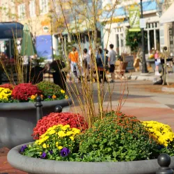 View of the cityscape in Northville