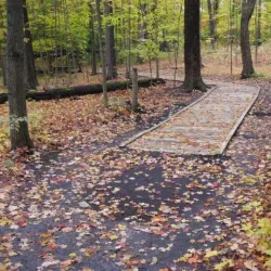 Maybury State Park - Northville