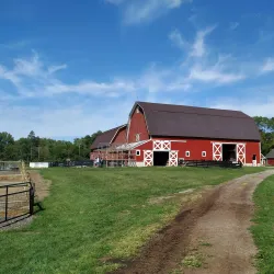 Maybury State Park - Northville