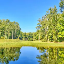 Maybury State Park - Northville