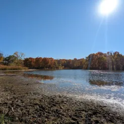 Maybury State Park - Northville