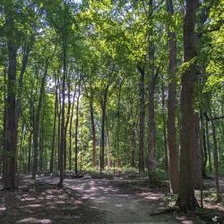 Maybury State Park - Northville