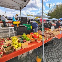 Northville Farmers Market - Northville