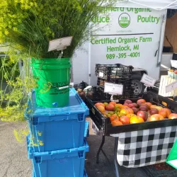 Northville Farmers Market - Northville