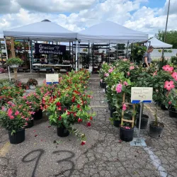 Northville Farmers Market - Northville