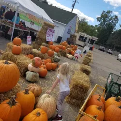 Northville Farmers Market - Northville