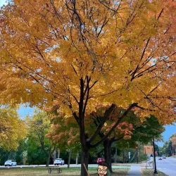 Rouge River Gateway Trail - Northville