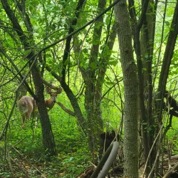 Heritage Park - Novi