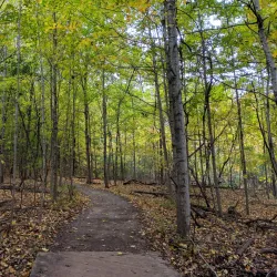 Heritage Park - Novi