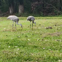 Kensington Metropark - Novi