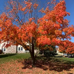 Kensington Metropark - Novi