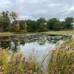 Kensington Metropark - Novi