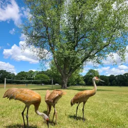 Kensington Metropark - Novi