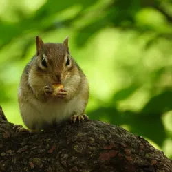 Kensington Metropark - Novi