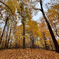 Lakeshore Park - Novi