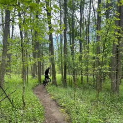 Lakeshore Park - Novi