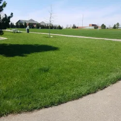 Millennium Park - Novi