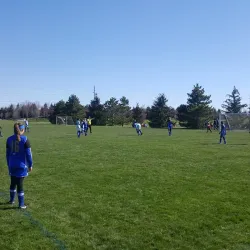 Millennium Park - Novi