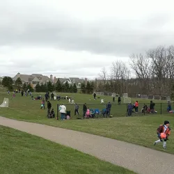 Millennium Park - Novi