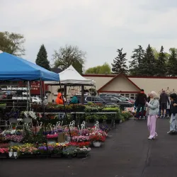 Novi Farmers Market - Novi