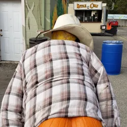 Novi Farmers Market - Novi