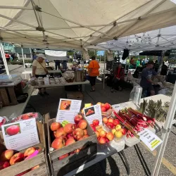 Novi Farmers Market - Novi