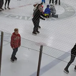 Novi Ice Arena - Novi