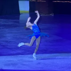 Novi Ice Arena - Novi